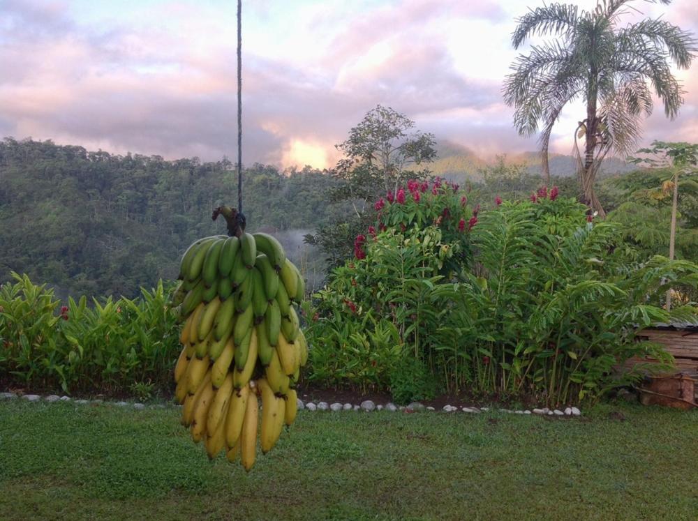 Elegant Home In Private Ecological Property, With Private River - Bird Watching 240 Bird Species Nanegal ภายนอก รูปภาพ